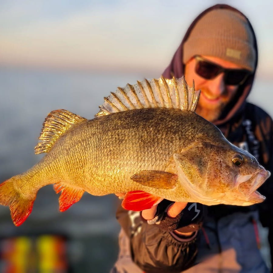 voor_vissers_door_vissers2